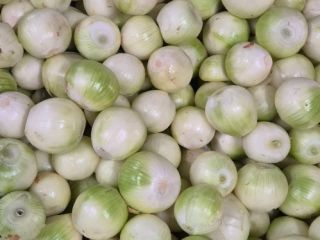 I'm selling white peeled onions. They're healthy, thick, 5-10mm