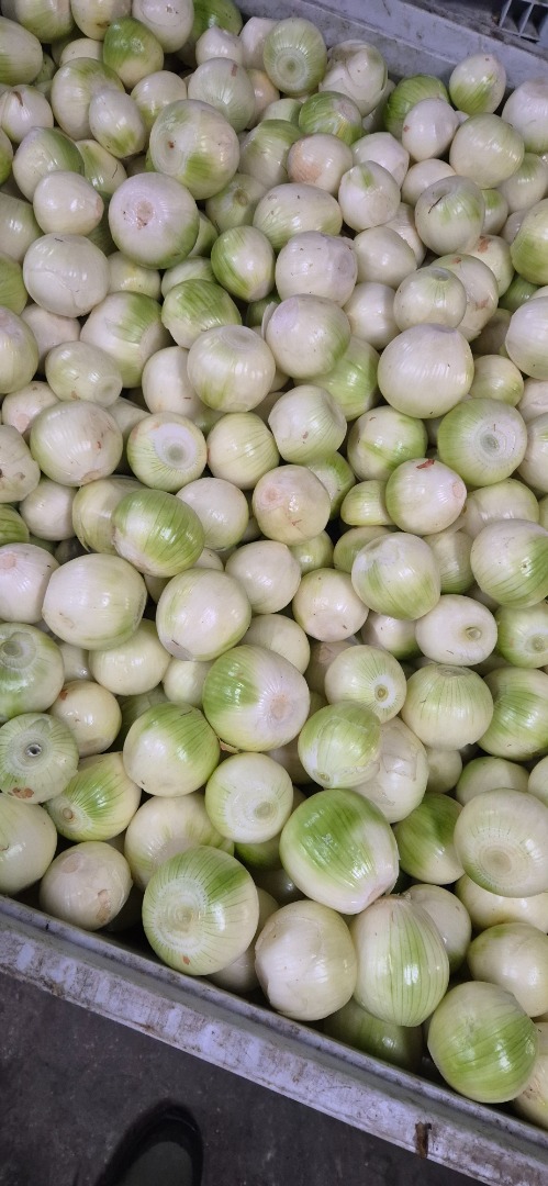 I'm selling white peeled onions