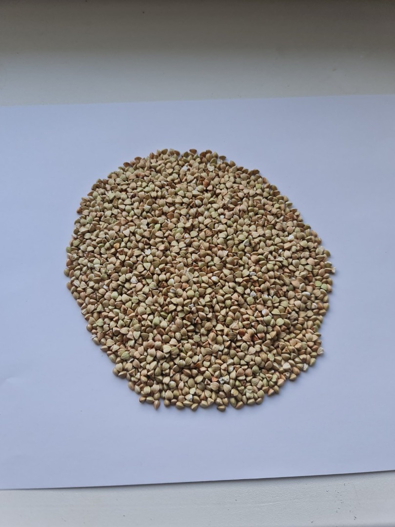 I will sell uncooked buckwheat groats and buckwheat groats from the manufacturer, wholesale quantities, glyphosate-free, unpackaged