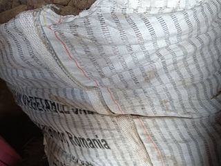 I will sell long beetroot of the Alto variety