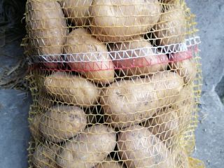Hello, I am selling edible potatoes of the Bellarosa,
