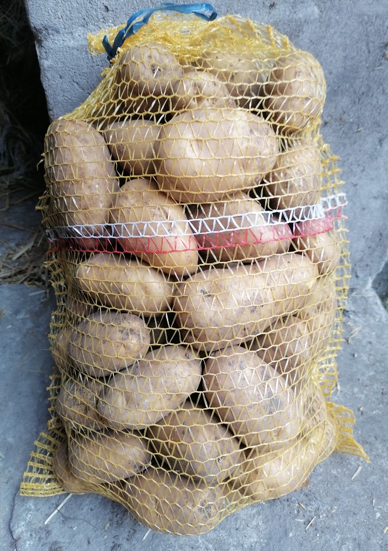 Hello, I am selling edible potatoes of the Bellarosa, Red Sonia, Jurek, Soraya, Marbel, Constans, Typhoon and Anuschka varieties, price 90 cents per kg