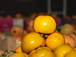 Dried persimmon – naturally sweet, no added sugar: •