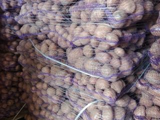Hello. I'm selling yellow and red potatoes. Truck and