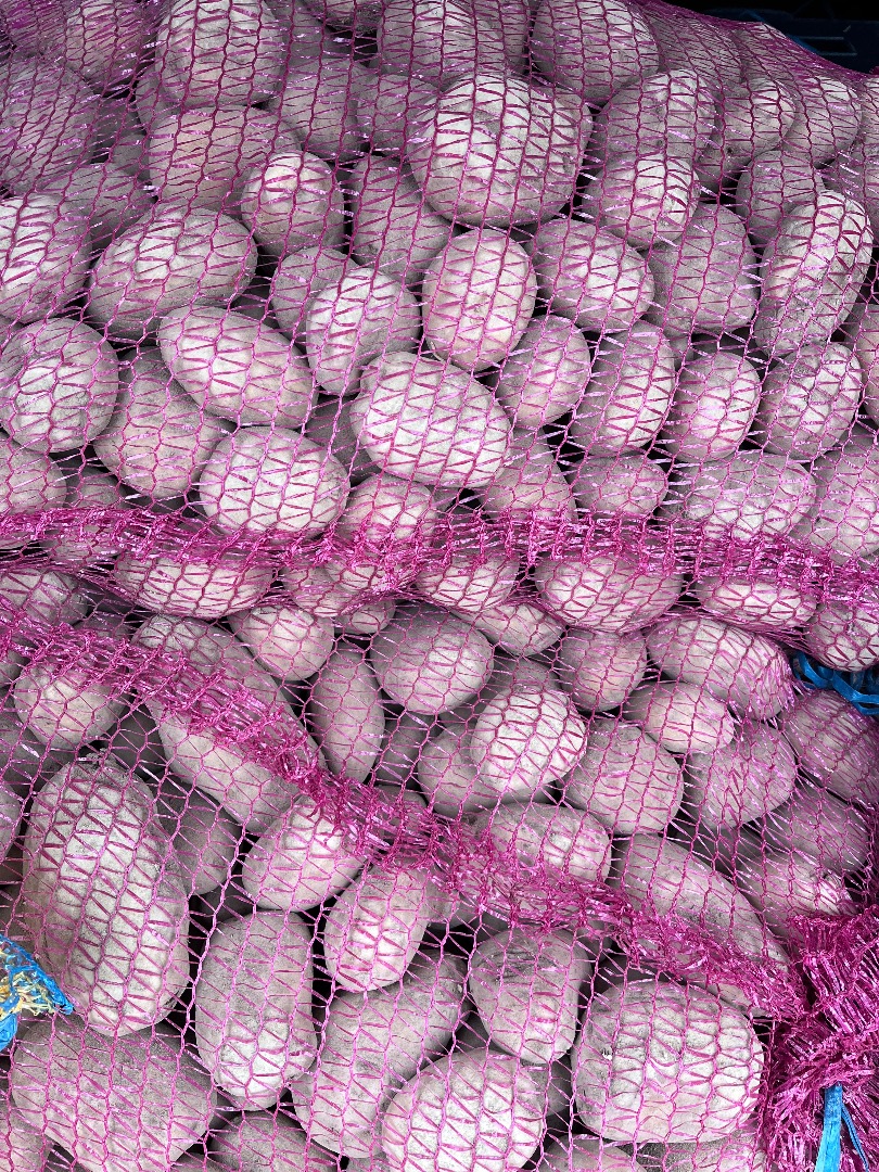 Organic Potatoes Ignacy, Vineta, Denar Sorted Caliber +55