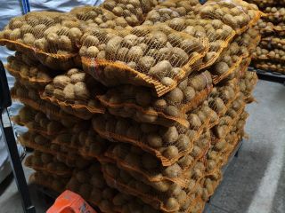 Jurek and Vineta packed in 15kg, can be made