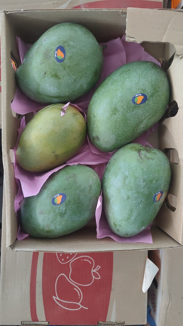 Mango fresh ,tree ripe, ready-to-eat imported from Egypt to Romania by air cargo we are supplier of premium Egyptian mango, delivering the authentic taste of