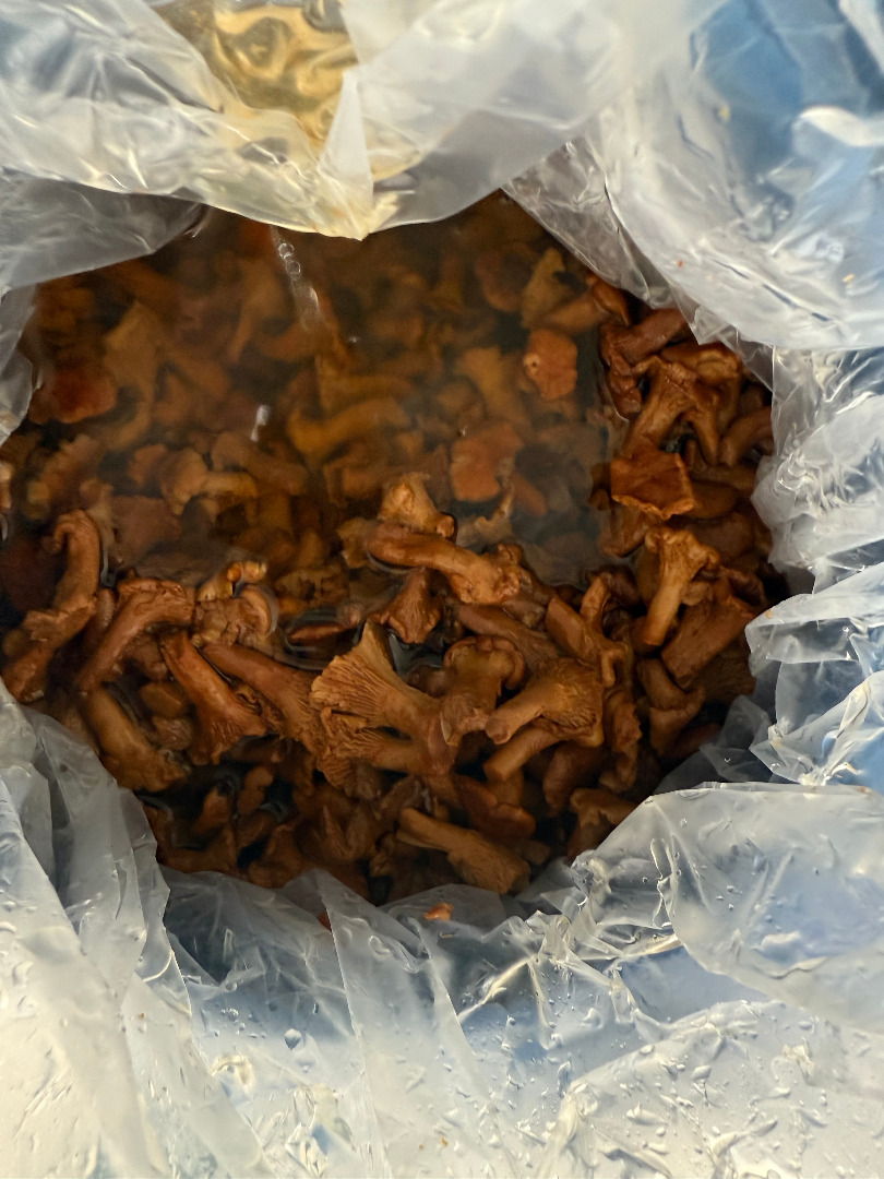 We are an importer of FOREST FLOUR - currently offering chanterelles in broth