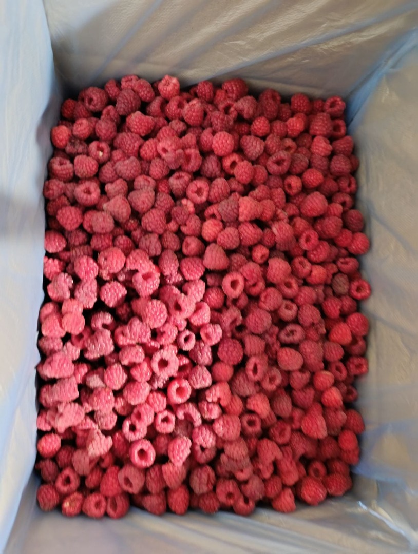 Hello, it's us Agricultural Cooperative Fungo-vita from Serbia