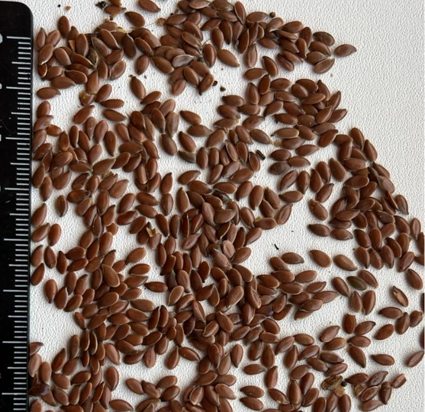 CERIO sells BROWN FLAX