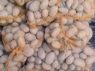 I'm selling potatoes from my own farm. Varieties: Red