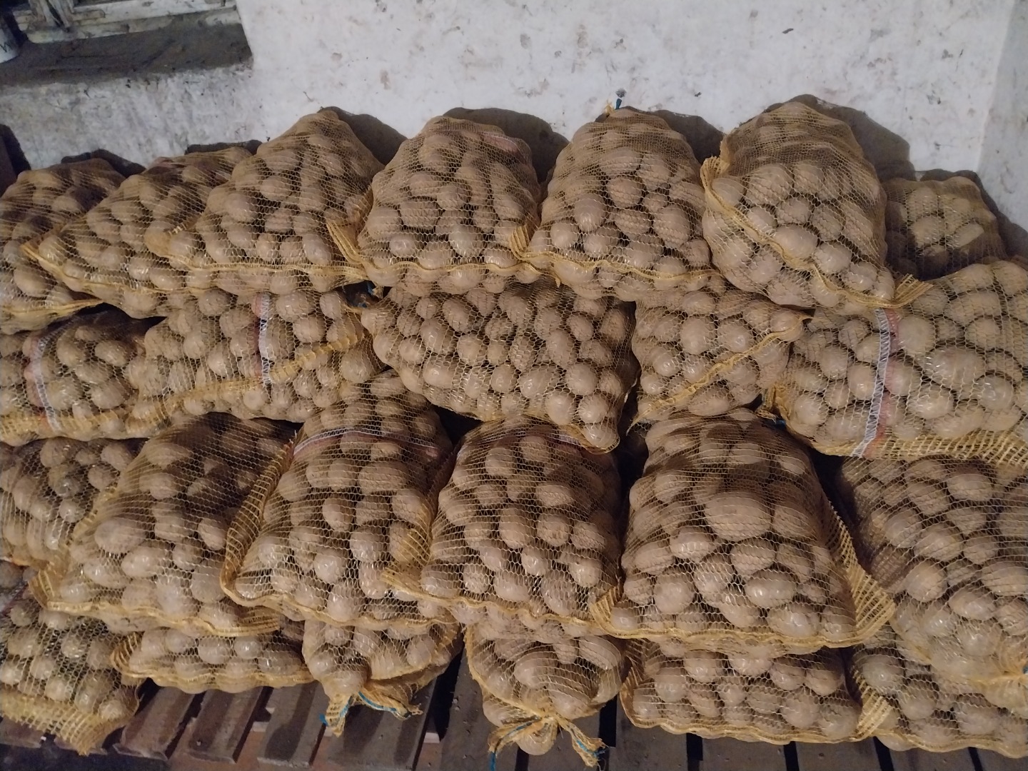 I will sell Gala potatoes from the light soil, truck and bus quantities, more on the