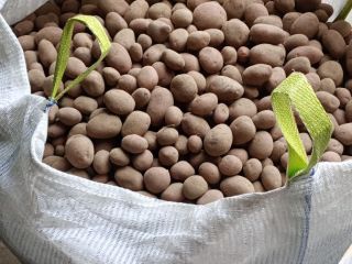 Hello. I have for sale Soraya and Balticrosa edible