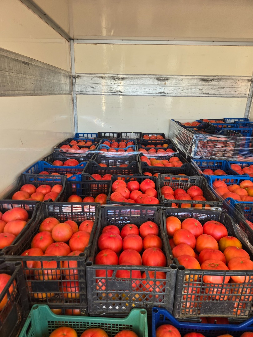 I sell pink tomatoes - elite quality I offer fresh, aromatic and fleshy pink tomatoes of high, elite quality