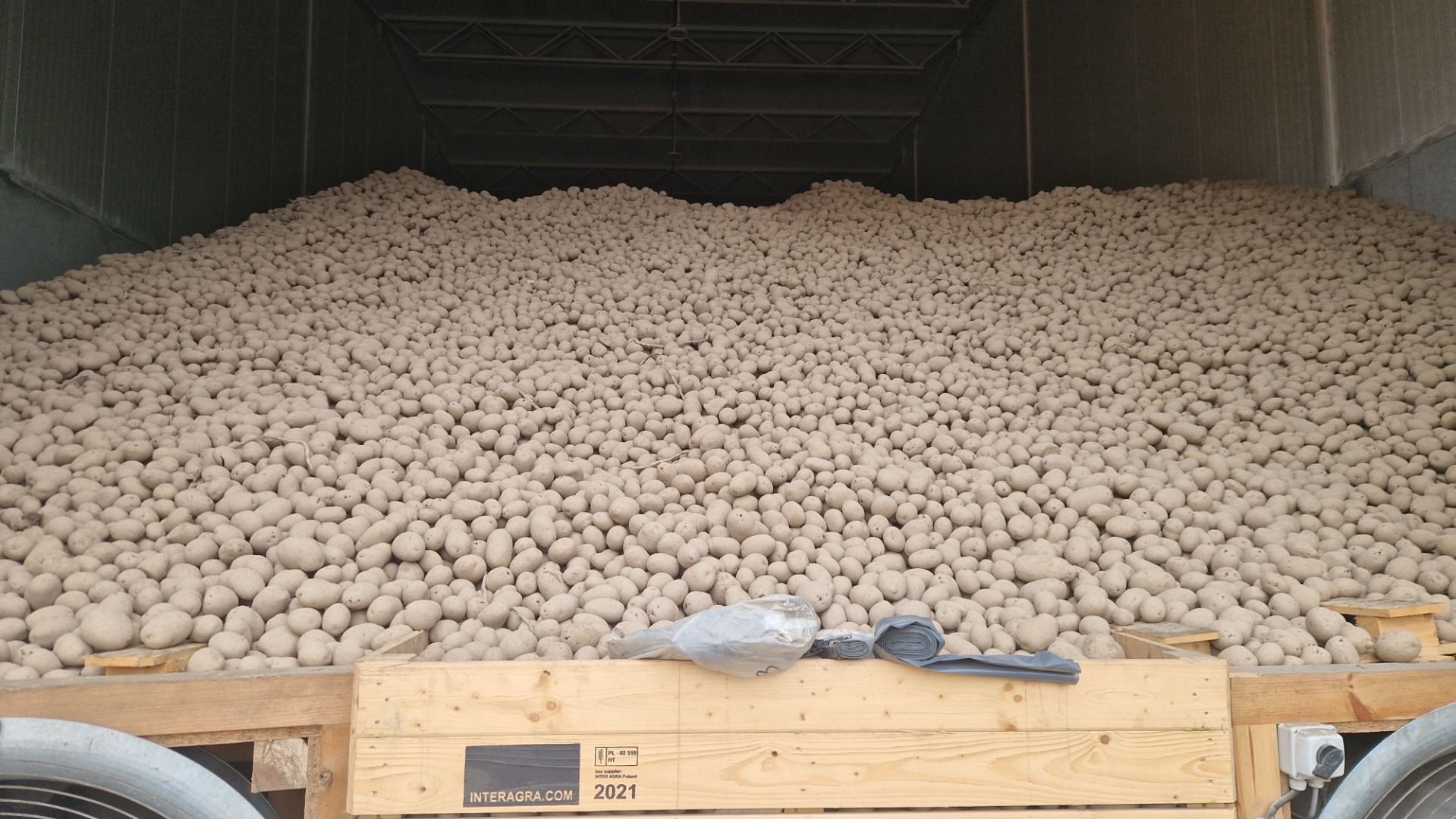 Potatoes from light soil, possibility of sorting smaller caliber, preferred shipping LUZ