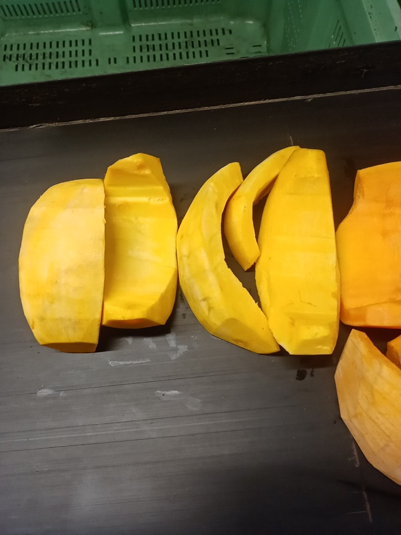 I will sell peeled pumpkin bambino and Otylia phone number