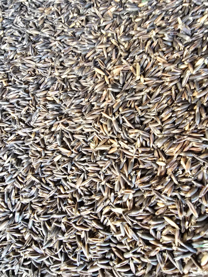I have for sale bay oats, high in protein from this year's harvest