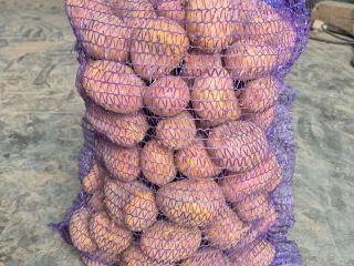 Hello. I am selling very tasty potatoes of the