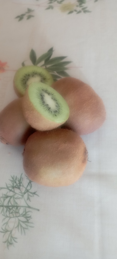 Organic green kiwi, very sweet, completely pesticide-free, medium-sized, 6.5 cm long by 4.5 cm wide