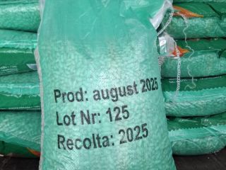 White beans, 10 kg bag, quality A, origin Egypt,