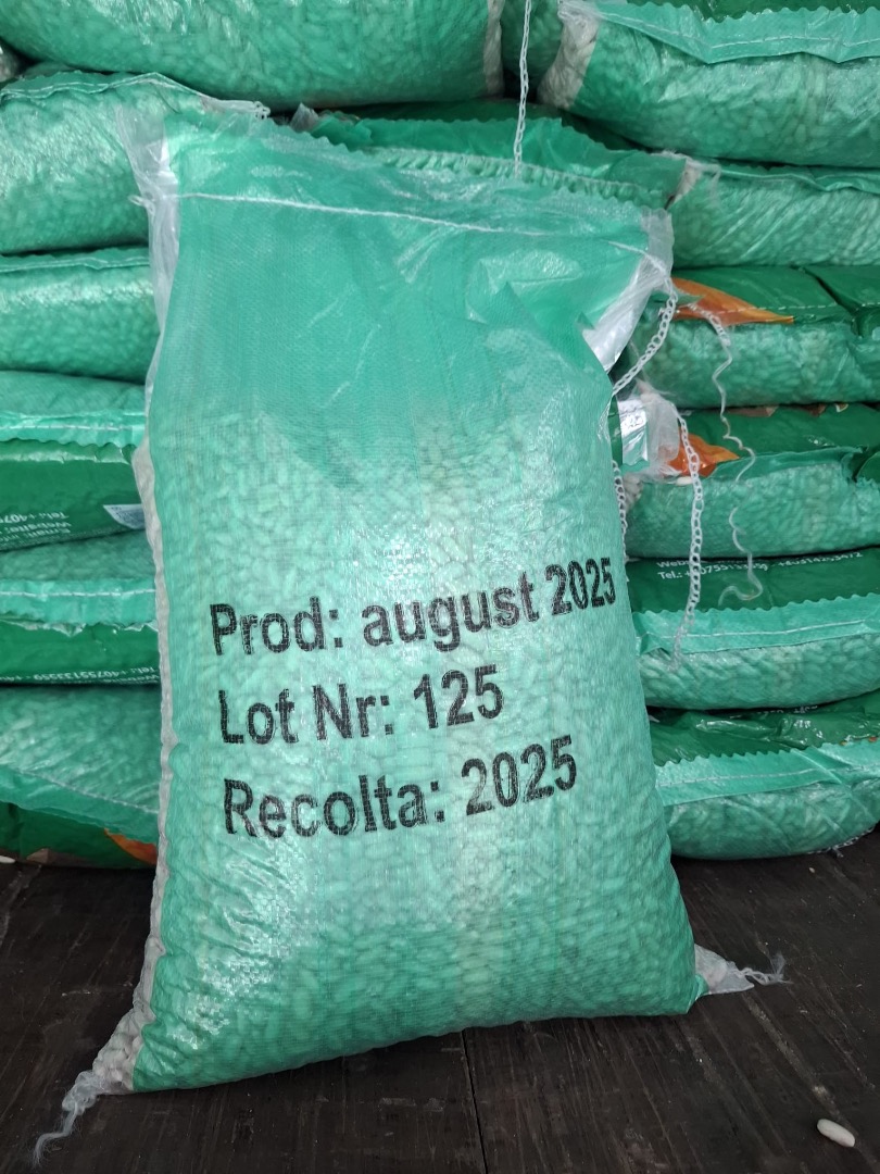 White beans, 10 kg bag, quality A, origin Egypt, production 2025