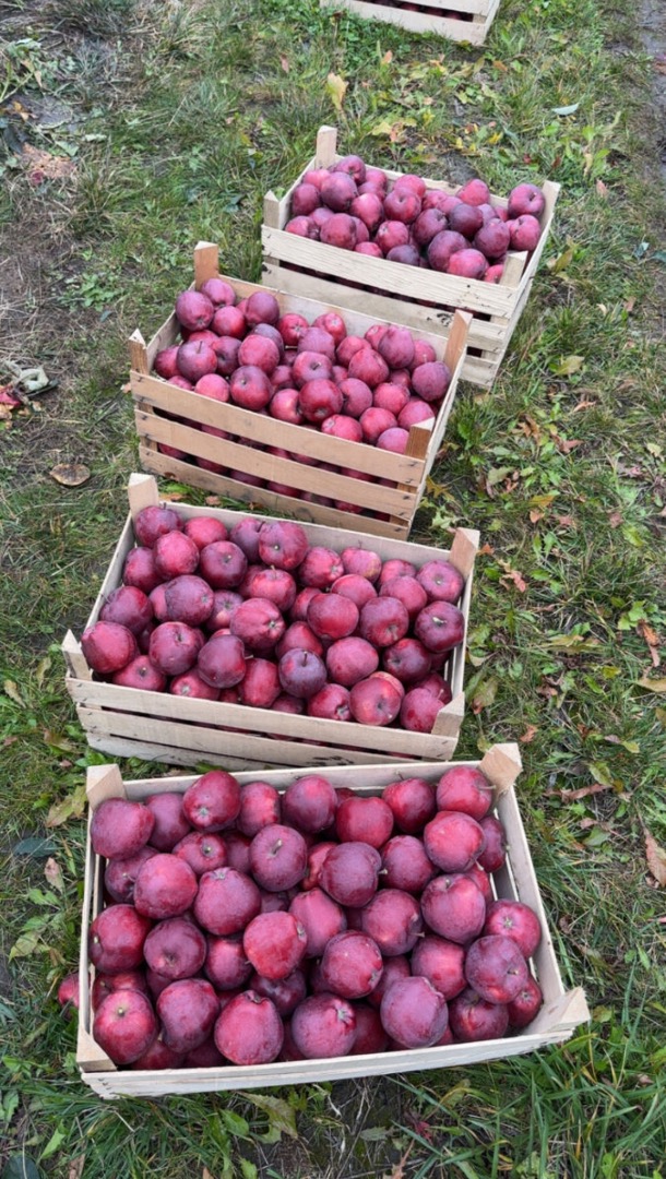 We are trusted suppliers of fresh fruits and vegetables in Moldova