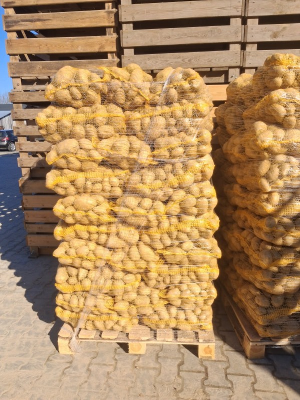 Yellow potatoes for sale, 50+ cal, truckload quantities