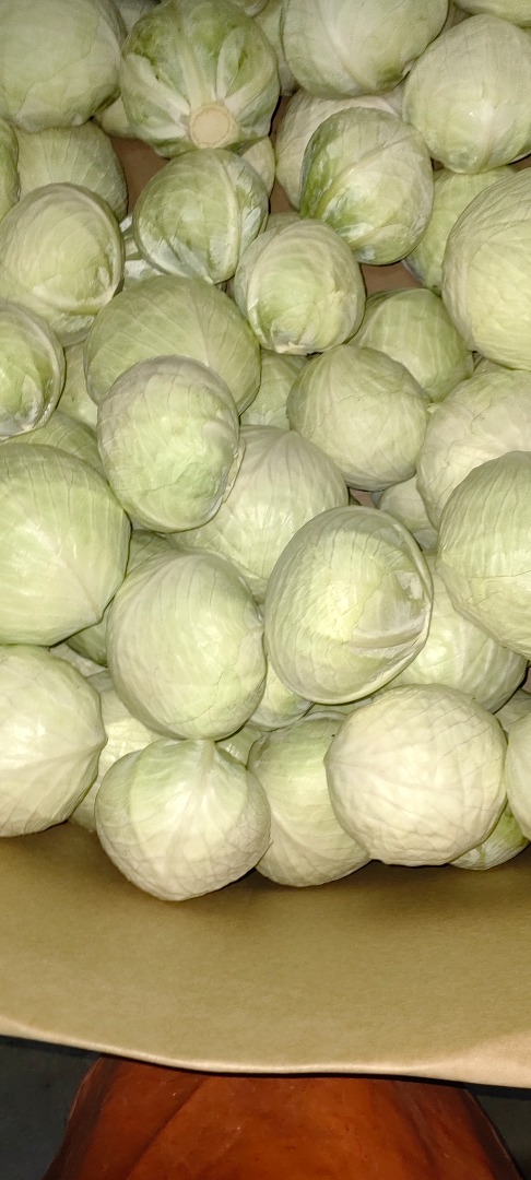 White and red cabbage for sale