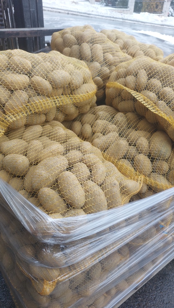 I am selling Soraya potatoes, starting at 45mm, a beautiful, healthy, and clean product from light soil