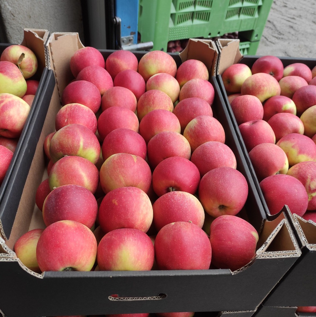 I'm selling Champion apples