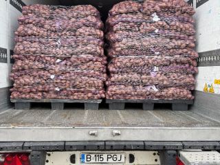 I'm selling edible potatoes with PHYTO testing. Truckload quantities.