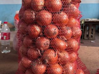 I'm selling RHINO onions. Available in 150-ton packs. I