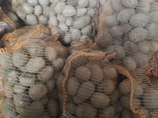 I have wineta and jolly potatoes for sale, I