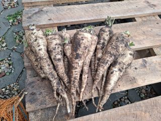 I'm selling parsley. For more information, please call: [phone
