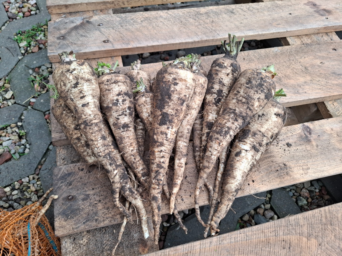 I'm selling parsley