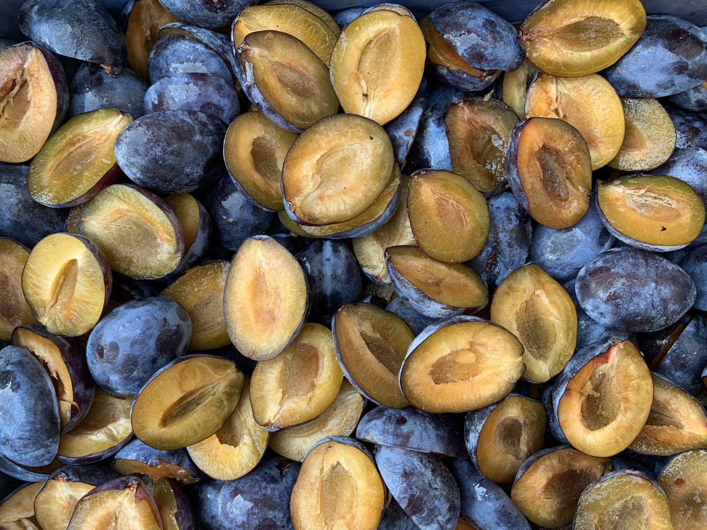 IQF frozen plums halves for industrial processing and export