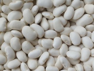 Hello, we offer for sale Jaś Karlowy beans in