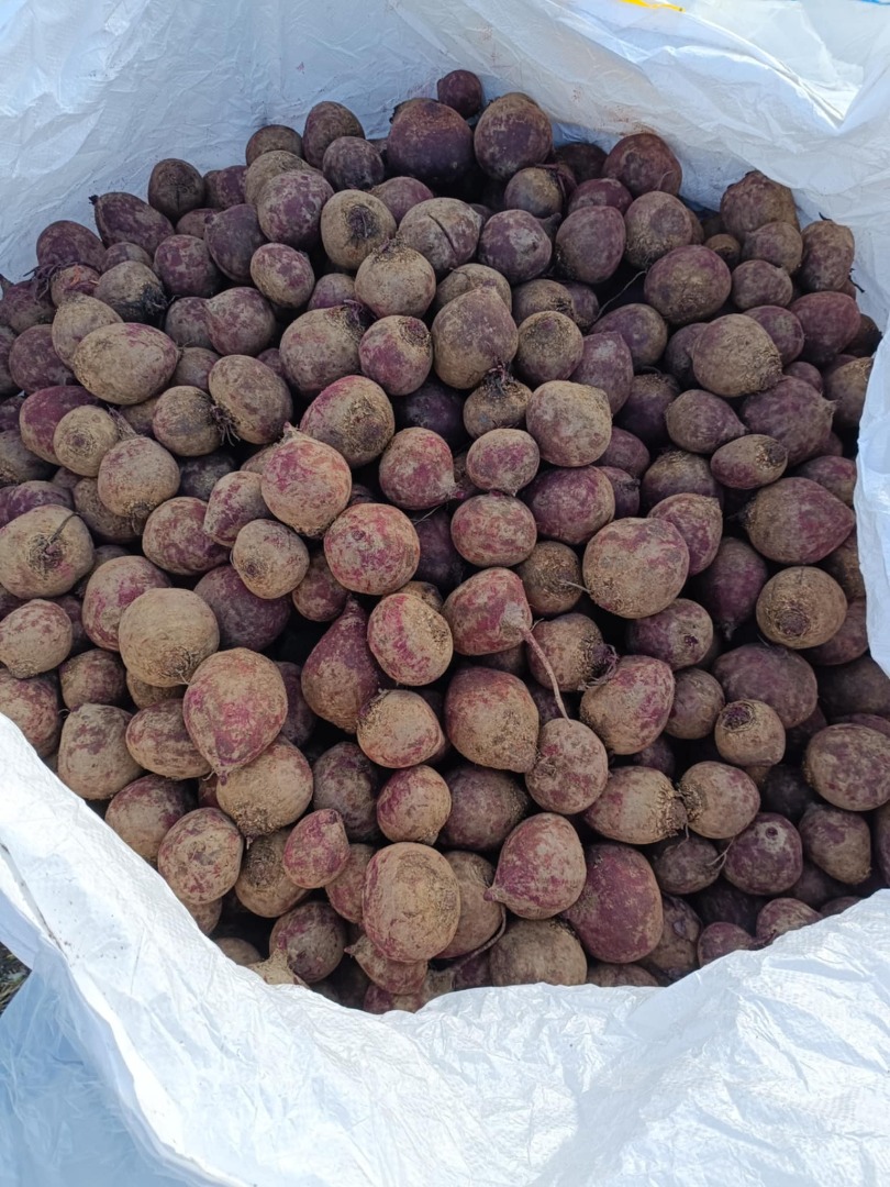 I'm selling red beets of the Monty variety