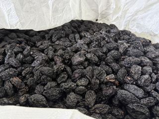Stanley prunes, produced in Moldova. Large, uncalibrated, pitted. Packed