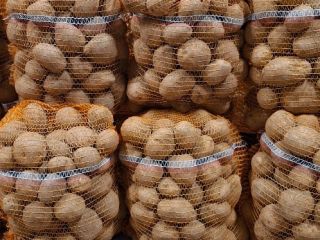 I'm selling Vineta edible potatoes from the farm. The