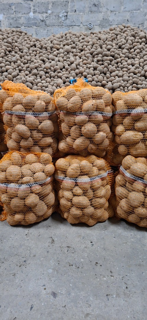 I'm selling Vineta edible potatoes from the farm