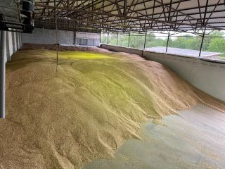 We sell organic peeled spelt 2025 g in quantities