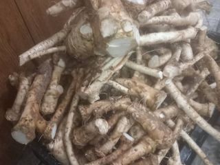 Homemade horseradish for sale In roots In jars
