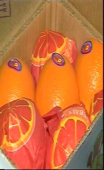Dear Sir & Madam, We are Egyptian trading , out sourcing company, Our DUNS # is[phone number] , , leader and specialized in supplying fresh citrus for all