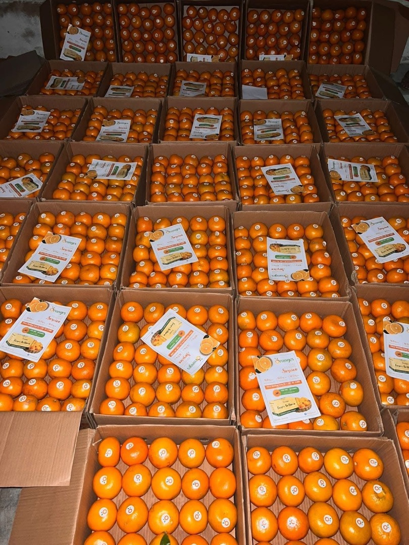 We are pleased to offer premium-quality fresh oranges directly from Pakistan, sourced from well-managed farms and harvested at peak ripeness to ensure