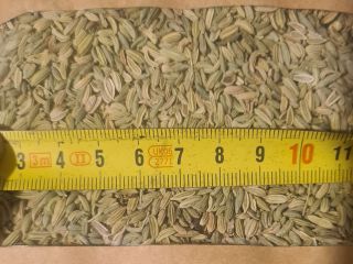 99,5 % purity fennel seeds EXW Bulgaria for order