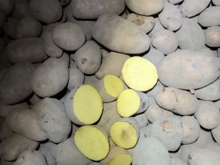 I'm selling potatoes, caliber +45mm, +50mm. Packaged in big