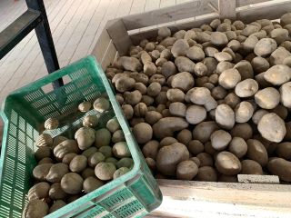 I am a private entrepreneur and run a farm