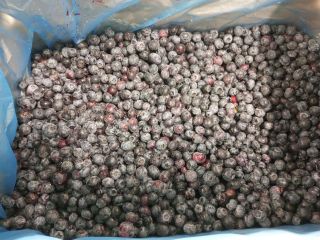 I do sell 40t of frozen cultural refinement of