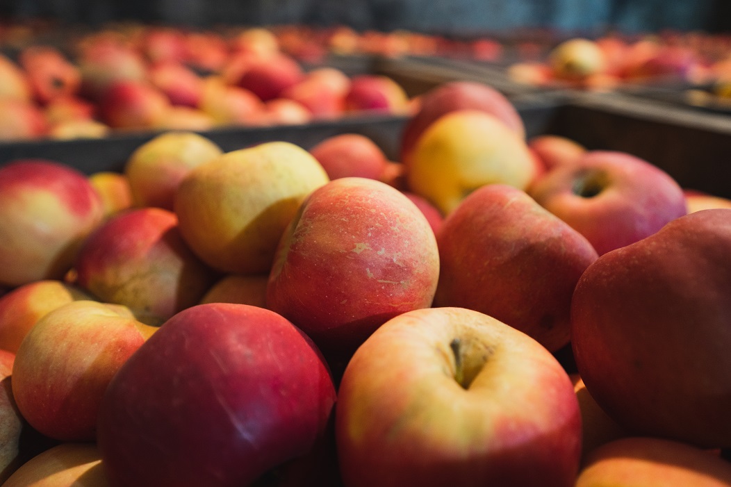 Idared apples for sale